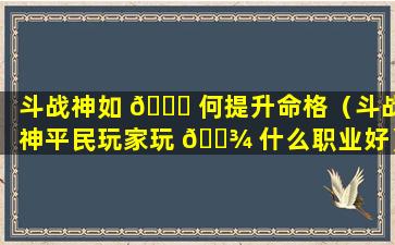 斗战神如 🍀 何提升命格（斗战神平民玩家玩 🌾 什么职业好）